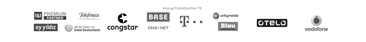 Auszug Portfolio Portfolio